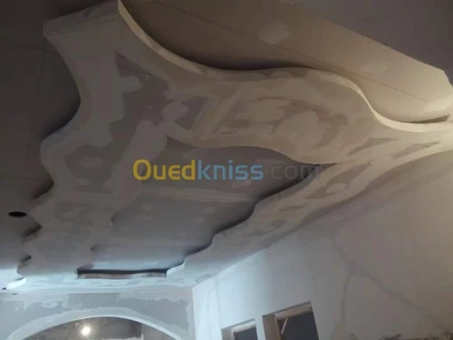 Faux plafond pvc et placo platre 