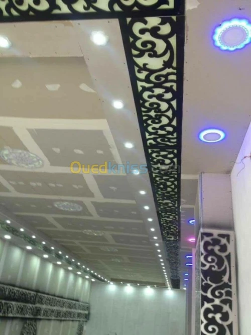 Faux plafond pvc et placo platre 