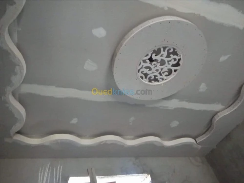 Faux plafond pvc et placo platre 