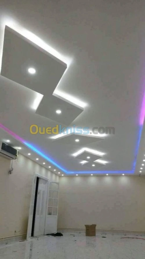 Faux plafond pvc et placo platre 