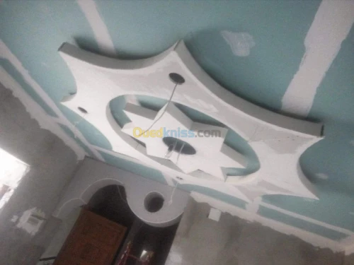 Faux plafond pvc et placo platre 
