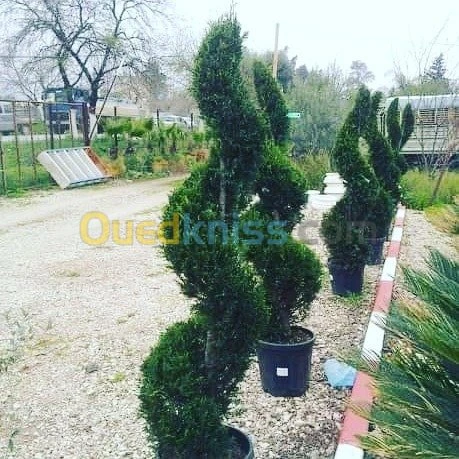 Aménagement des espaces verts