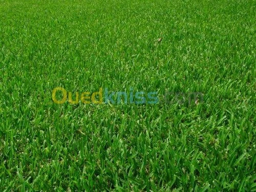 Aménagement des espaces verts