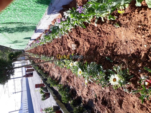 Aménagement des espaces verts