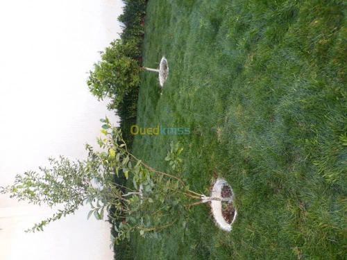 Aménagement des espaces verts