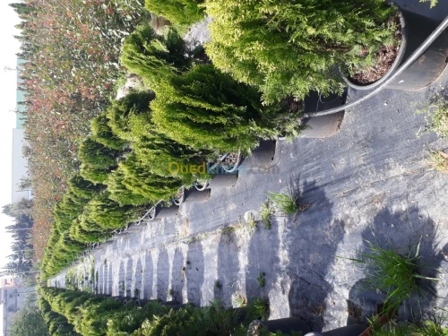 Aménagement des espaces verts