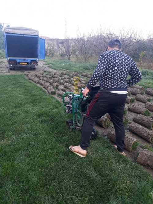 Aménagement des espaces verts
