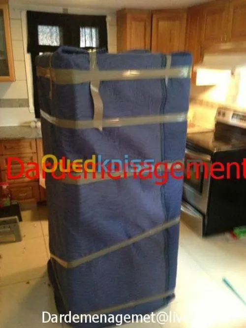 DEMENAGEMENT MANUTENTIONS TRANSPORT N1