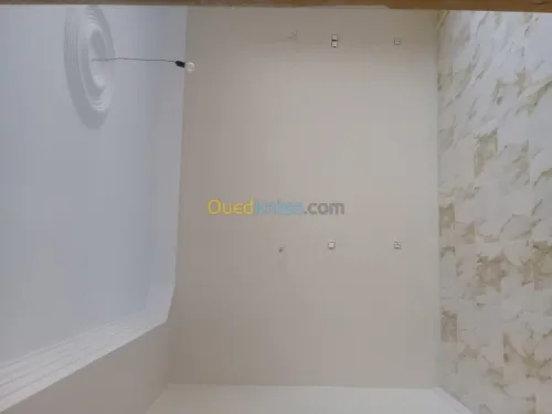 Peintre batiment Qualifié 