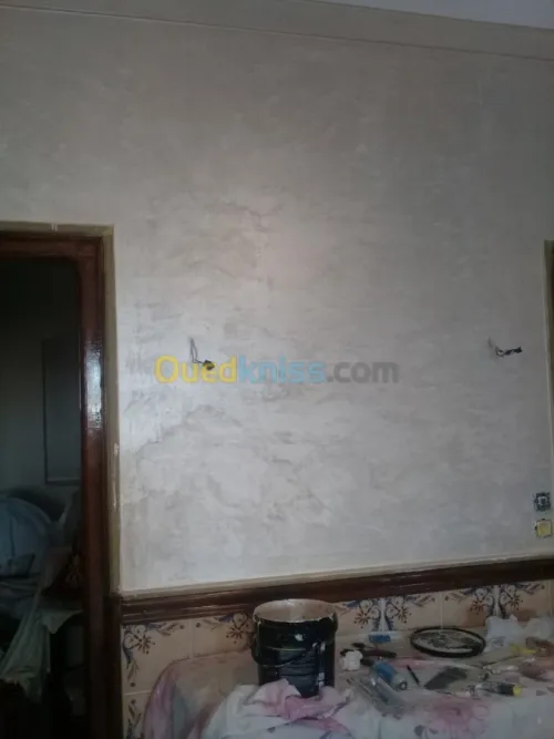 Peintre batiment Qualifié 