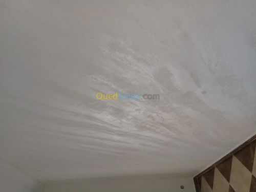 Peintre batiment Qualifié 