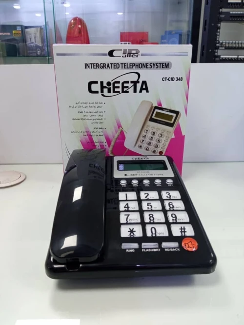POSTE SIMPLE AVEC AFFICHEUR CHIEETA CT-CID 348