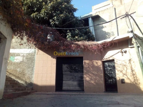Vente Villa Alger Bab el oued