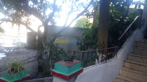 Vente Villa Alger Bab el oued
