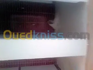 carreleur   حمام  ديكور  مطبخ  
