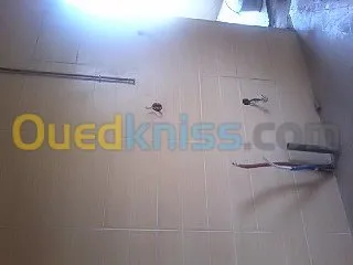 carreleur   حمام  ديكور  مطبخ  