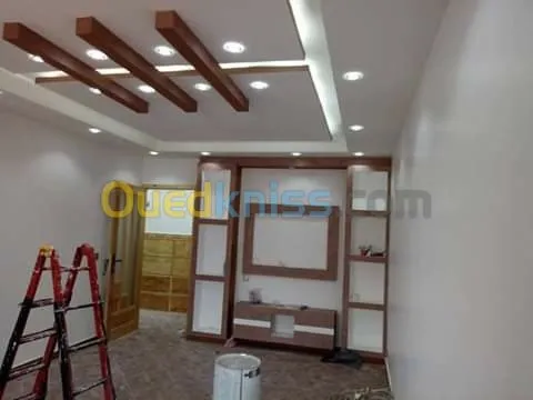 Décoration de placo platre et pvc