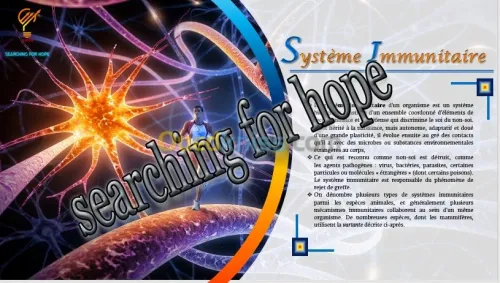 Saisie/Présentation 