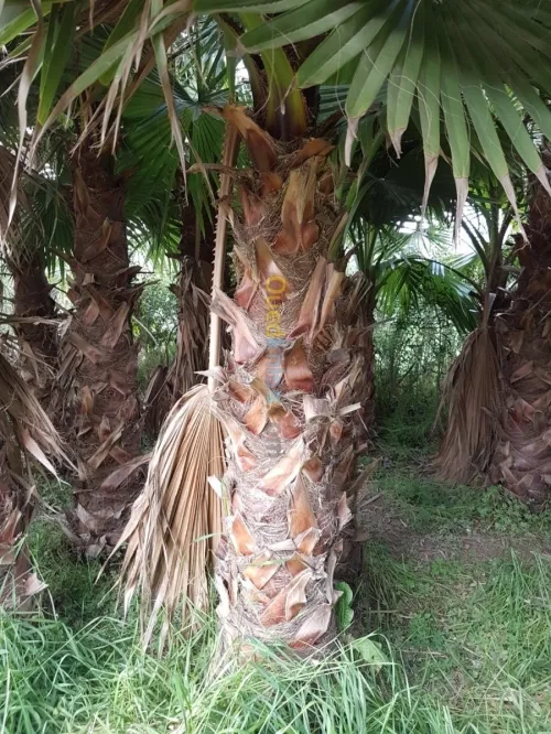 Aménagement et réalisation des jardins