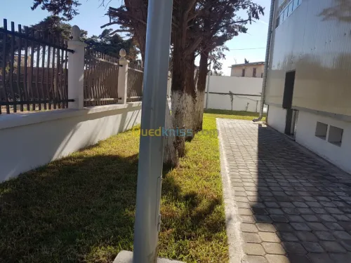 Aménagement et réalisation des jardins