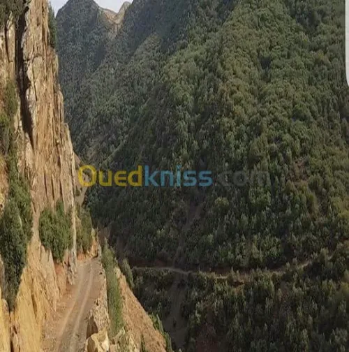 peinture et décorationet platres  