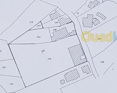 Vente Terrain Alger Cheraga