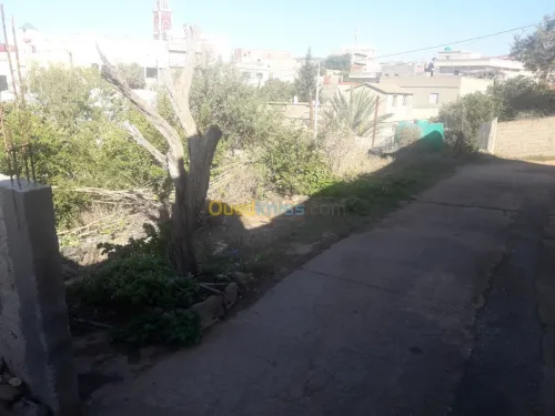 Vente Villa Tlemcen Ghazaouet
