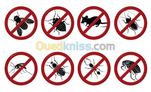 lutte anti nuisibles 