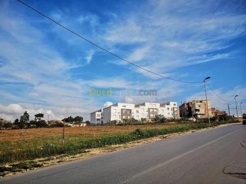 Vente Duplex F5 Alger Staoueli