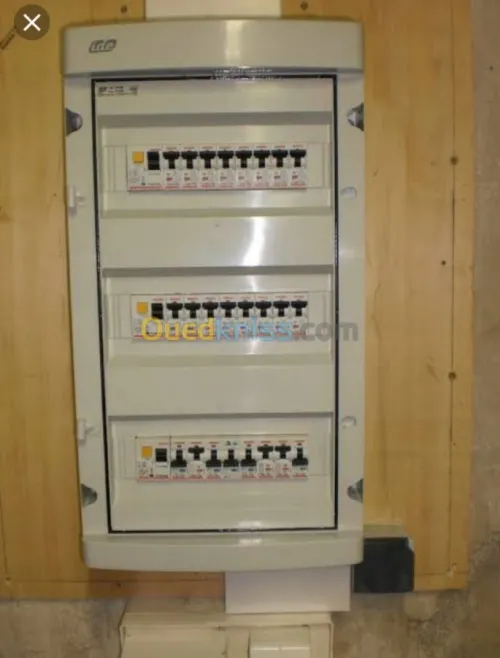 éléctrciti général