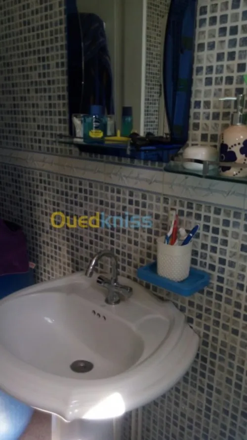 Vente Villa Alger Ouled fayet