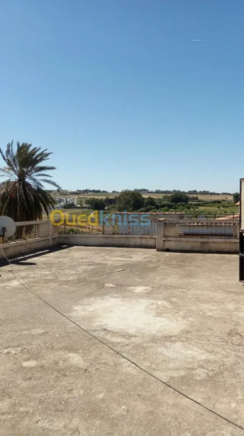Vente Villa Alger Ouled fayet