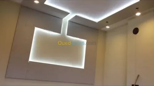 Placo plaitre .faux plafond en pvc .