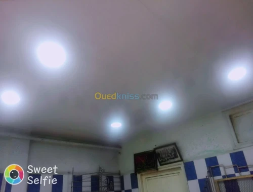 Placo plaitre .faux plafond en pvc .