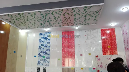 Placo plaitre .faux plafond en pvc .