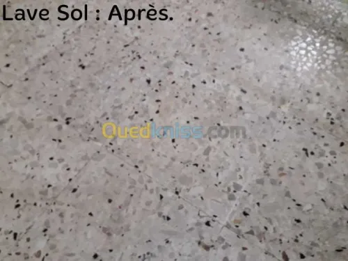 Mixes pour la fabrication de détergent