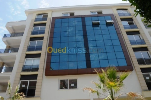 Façade Mur Rideau Haut de Gamme en Aluminium et Verre , Intervention Nationale