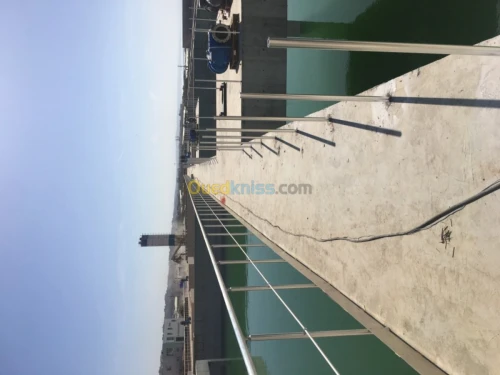 Travaux les gard corps inox et Aluminu