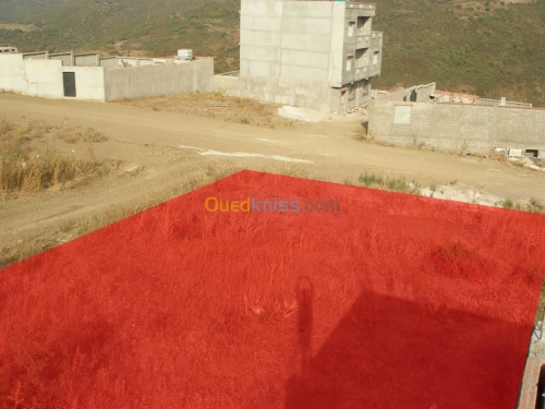 Vente Terrain Boumerdes Boudouaou