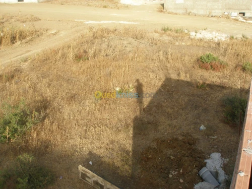 Vente Terrain Boumerdes Boudouaou