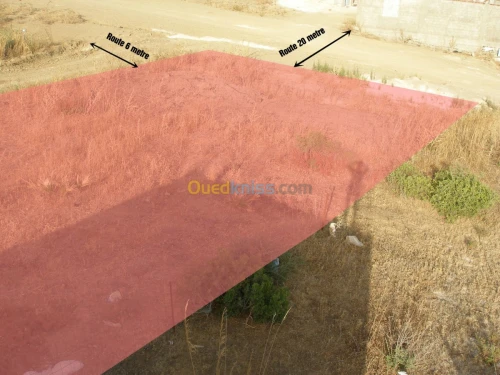 Vente Terrain Boumerdes Boudouaou
