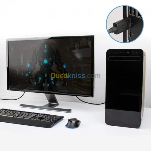 Câble Display Port DP UHD 