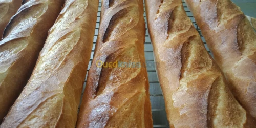               تكوين في اعداد الخبز