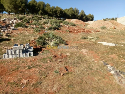 Vente Terrain Tlemcen Ain fezza