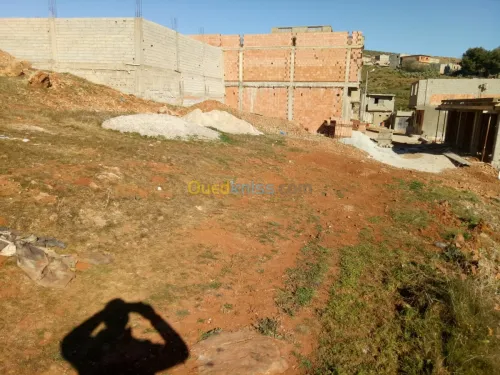 Vente Terrain Tlemcen Ain fezza