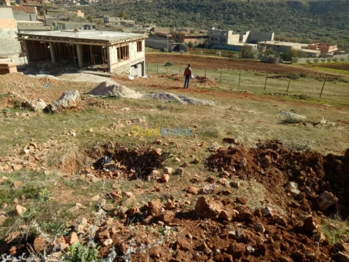Vente Terrain Tlemcen Ain fezza