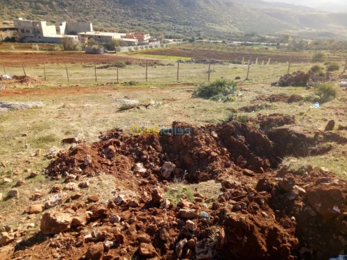 Vente Terrain Tlemcen Ain fezza