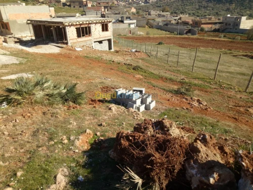 Vente Terrain Tlemcen Ain fezza