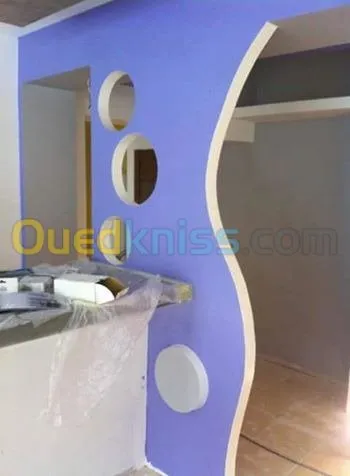 PLACOPLATRE ET PVC ET DEMENTABLE