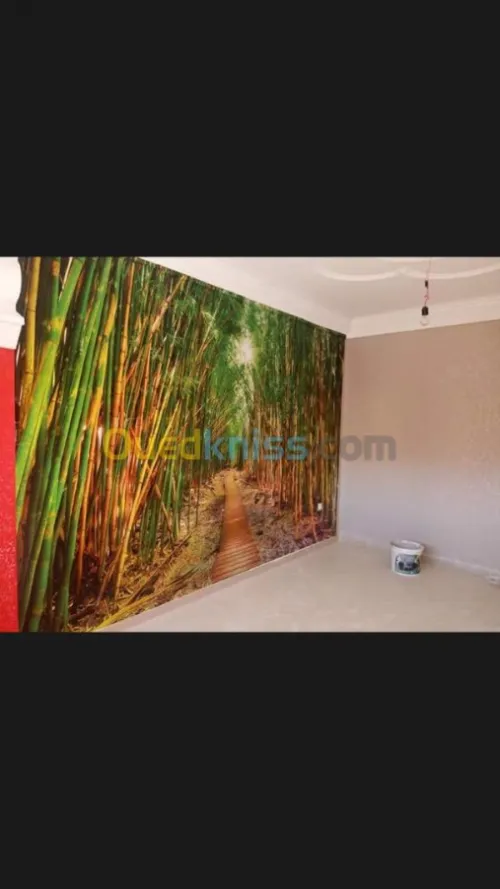 appliquer toutes types de peinture 